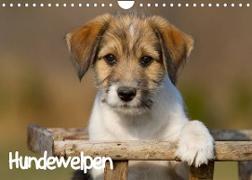 Hundewelpen (Wandkalender 2023 DIN A4 quer)