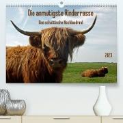 Die anmutigste Rinderrasse - Das schottische Hochlandrind (Premium, hochwertiger DIN A2 Wandkalender 2023, Kunstdruck in Hochglanz)