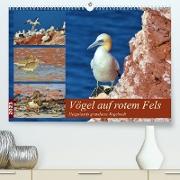 Vögel auf rotem Fels - Helgolands grandiose Vogelwelt (Premium, hochwertiger DIN A2 Wandkalender 2023, Kunstdruck in Hochglanz)