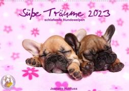 Süße Träume 2023 - schlafende Hundewelpen (Wandkalender 2023 DIN A2 quer)