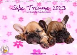 Süße Träume 2023 - schlafende Hundewelpen (Wandkalender 2023 DIN A4 quer)