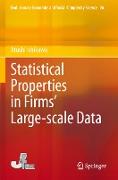 Statistical Properties in Firms¿ Large-scale Data