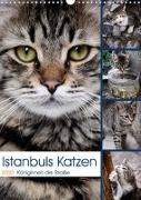 Istanbuls Katzen (Wandkalender 2023 DIN A3 hoch)