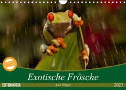 Exotische Frösche (Wandkalender 2023 DIN A4 quer)