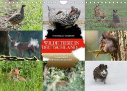 Emotionale Momente: Wilde Tiere in Deutschland (Wandkalender 2023 DIN A4 quer)