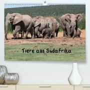Tiere aus Südafrika (Premium, hochwertiger DIN A2 Wandkalender 2023, Kunstdruck in Hochglanz)