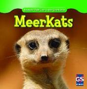 Meerkats