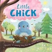 Nature Stories: Little Chick: Padded Board Book