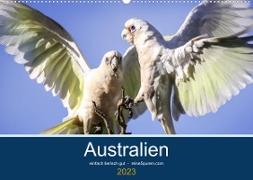 Australien - einfach tierisch gut (Wandkalender 2023 DIN A2 quer)