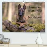 Belgischer Schäferhund - Der Malinois (Premium, hochwertiger DIN A2 Wandkalender 2023, Kunstdruck in Hochglanz)