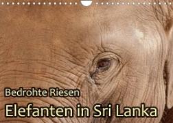 Bedrohte Riesen - Elefanten in Sri Lanka (Wandkalender 2023 DIN A4 quer)