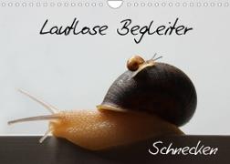 Lautlose Begleiter - Schnecken (Wandkalender 2023 DIN A4 quer)