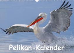 Pelikan-Kalender (Wandkalender 2023 DIN A3 quer)