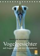 Magie des Augenblicks - Vogelgesichter - auf Augenhöhe mit den Gefiederten (Tischkalender 2023 DIN A5 hoch)