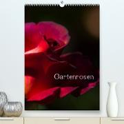 Gartenrosen (Premium, hochwertiger DIN A2 Wandkalender 2023, Kunstdruck in Hochglanz)