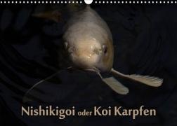 Nishikigoi oder Koi Karpfen (Wandkalender 2023 DIN A3 quer)
