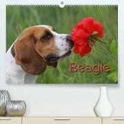 Beagle (Premium, hochwertiger DIN A2 Wandkalender 2023, Kunstdruck in Hochglanz)