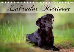 Labrador Retriever (Tischkalender 2023 DIN A5 quer)