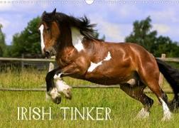 Irish Tinker (Wandkalender 2023 DIN A3 quer)