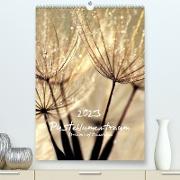 Pusteblumentraum - Dreams of Dandelion (Premium, hochwertiger DIN A2 Wandkalender 2023, Kunstdruck in Hochglanz)