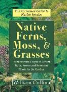 Native Ferns, Moss, and Grasses