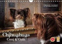 Chihuahuas - Cool and Cute (Wandkalender 2023 DIN A4 quer)