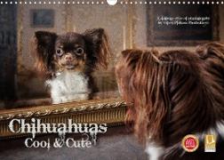 Chihuahuas - Cool and Cute (Wandkalender 2023 DIN A3 quer)