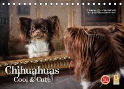 Chihuahuas - Cool and Cute (Tischkalender 2023 DIN A5 quer)