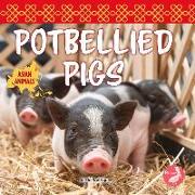 Potbellied Pigs