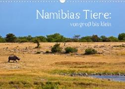 Namibias Tiere: von groß bis klein (Wandkalender 2023 DIN A3 quer)