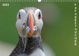 Papageitaucher (Wandkalender 2023 DIN A3 quer)