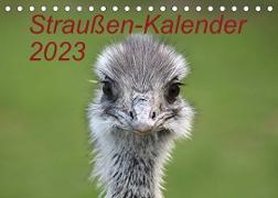 Straußen-Kalender 2023 (Tischkalender 2023 DIN A5 quer)