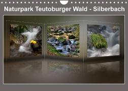 Naturpark Teutoburger Wald - Silberbach (Wandkalender 2023 DIN A4 quer)