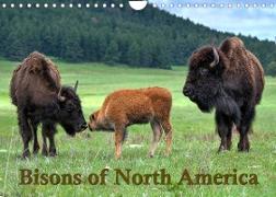 Bisons of North America (Wall Calendar 2023 DIN A4 Landscape)