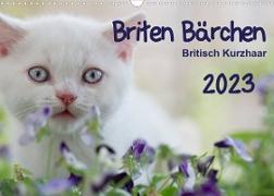 Briten Bärchen ¿ Britsch Kurzhaar 2023 (Wandkalender 2023 DIN A3 quer)