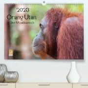 Orang Utan 2023 - Der Waldmensch (Premium, hochwertiger DIN A2 Wandkalender 2023, Kunstdruck in Hochglanz)