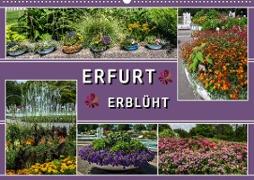 Erfurt erblüht (Wandkalender 2023 DIN A2 quer)