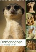 Erdmännchen-Meerkats-Surikate (Wandkalender 2023 DIN A2 hoch)