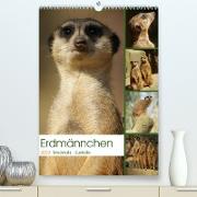 Erdmännchen-Meerkats-Surikate (Premium, hochwertiger DIN A2 Wandkalender 2023, Kunstdruck in Hochglanz)