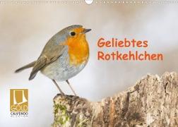 Geliebtes Rotkehlchen (Wandkalender 2023 DIN A3 quer)