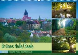 Grünes Halle/Saale - Meine wilde Händelstadt (Wandkalender 2023 DIN A2 quer)
