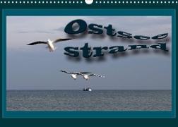 Ostsee-Strand (Wandkalender 2023 DIN A3 quer)