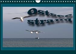 Ostsee-Strand (Wandkalender 2023 DIN A4 quer)