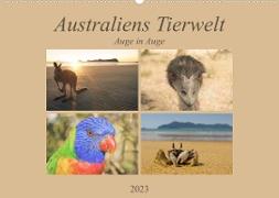 Australiens Tierwelt - Auge in Auge (Wandkalender 2023 DIN A2 quer)