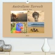 Australiens Tierwelt - Auge in Auge (Premium, hochwertiger DIN A2 Wandkalender 2023, Kunstdruck in Hochglanz)