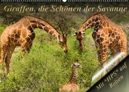 Giraffen, die Schönen der Savanne (Wandkalender 2023 DIN A2 quer)