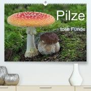 Pilze - tolle Funde (Premium, hochwertiger DIN A2 Wandkalender 2023, Kunstdruck in Hochglanz)