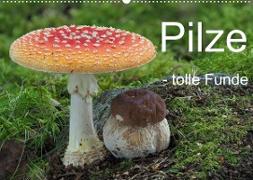 Pilze - tolle Funde (Wandkalender 2023 DIN A2 quer)