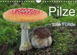Pilze - tolle Funde (Wandkalender 2023 DIN A4 quer)