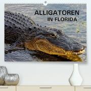 ALLIGATOREN in Florida (Premium, hochwertiger DIN A2 Wandkalender 2023, Kunstdruck in Hochglanz)